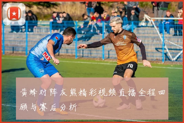 黄蜂对阵灰熊精彩视频直播全程回顾与赛后分析