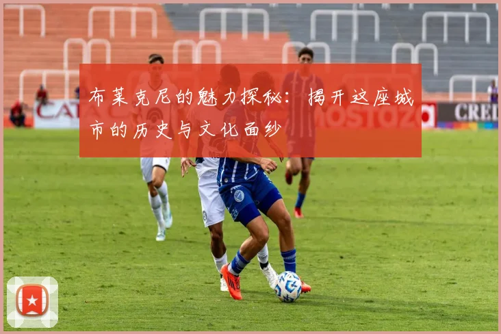 布莱克尼的魅力探秘：揭开这座城市的历史与文化面纱