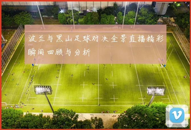 波兰与黑山足球对决全景直播精彩瞬间回顾与分析